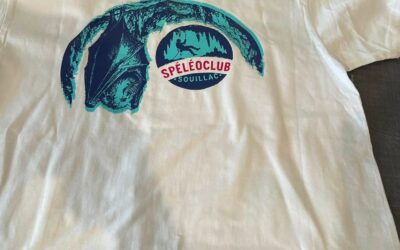 Flocage sur t-shirts